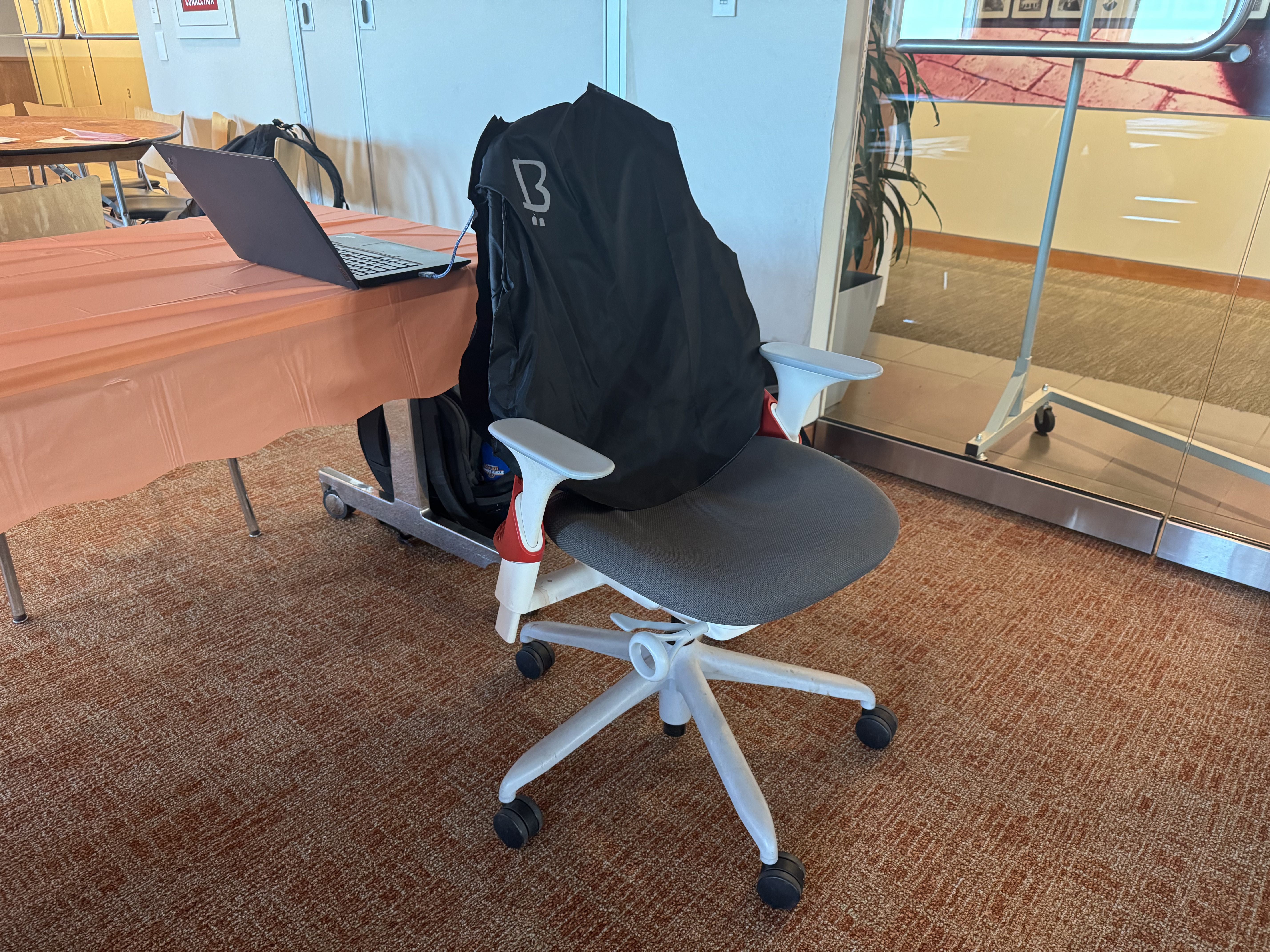 Final Back Buddy Product in Professional Office Setting