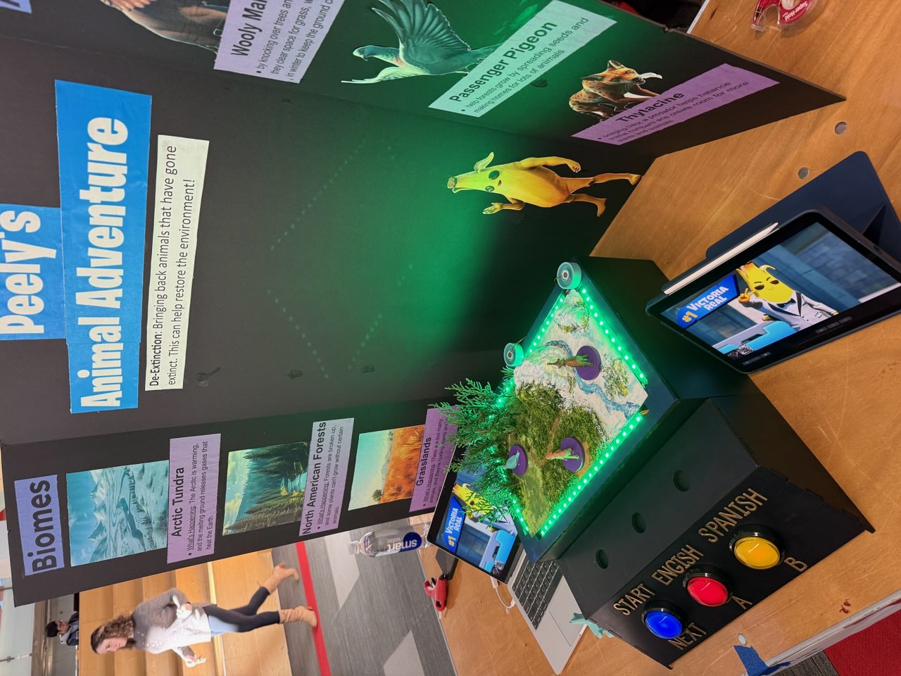 Exhibit Illuminated with Green LED Lights